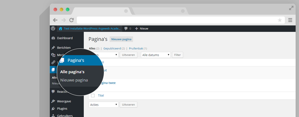 pagina's in WordPress