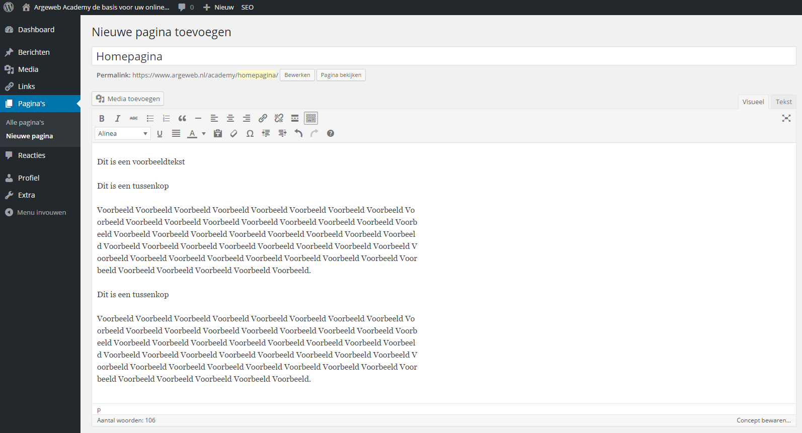 Voorbeeld WordPress site