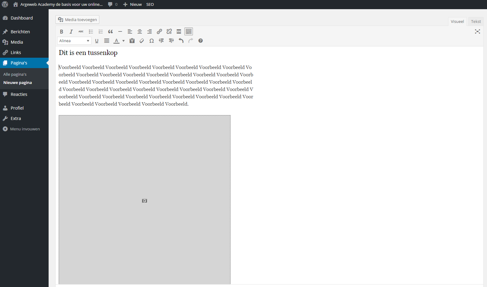 Video in WordPress tekst