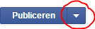 Berichten publiceren Facebook