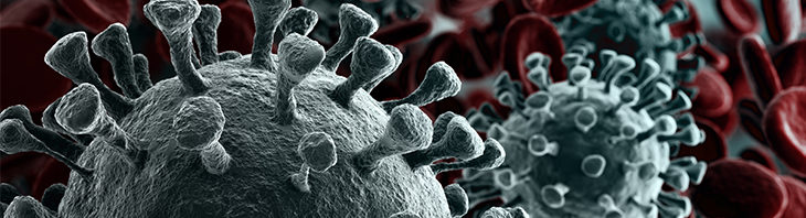 maatregelen argeweb coronavirus