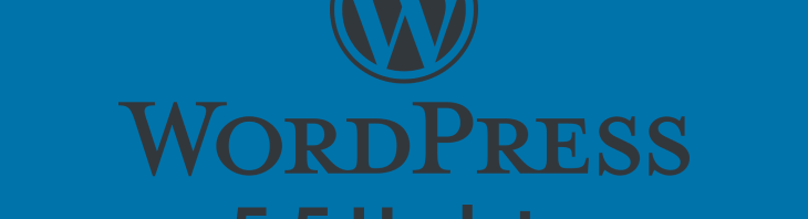 wordpress 5.5 update