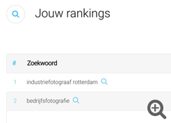 Zoekwoorden Rankings