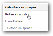 Rollen en audits