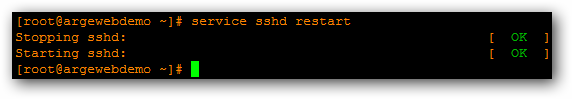 SSH restart