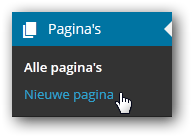 pagina1 pagina1