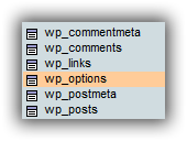 wp_options wp_options